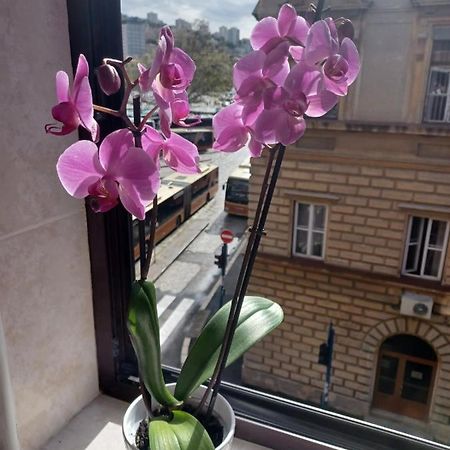 Apartamento Apartman Vesna Rijeka Exterior foto